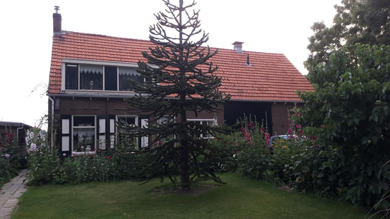 “In Oans Oefje” Parel In De Polder! Apartment Lewedorp Exterior photo