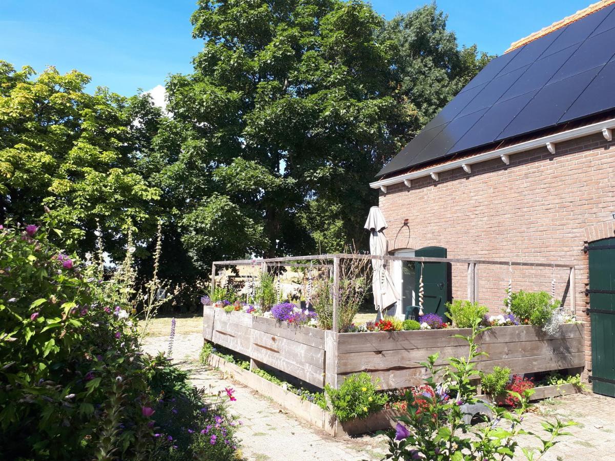 “In Oans Oefje” Parel In De Polder! Apartment Lewedorp Exterior photo